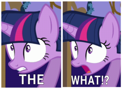 Size: 1650x1197 | Tagged: safe, edit, edited screencap, editor:dematrix-edit, screencap, twilight sparkle, g4, female, mare, meme, open mouth, pinpoint eyes, reaction image, solo, the what