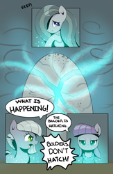 Size: 2008x3071 | Tagged: safe, artist:ahobobo, limestone pie, marble pie, maud pie, earth pony, pony, series:holders boulder (ahobobo), g4, comic, high res, holder's boulder, misspelling, rock, trio