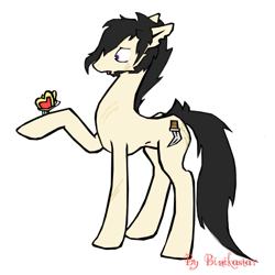 Size: 503x502 | Tagged: safe, artist:binikastar, oc, oc only, butterfly, earth pony, pony, butterfly on hoof, earth pony oc, male, raised hoof, simple background, solo, stallion, white background