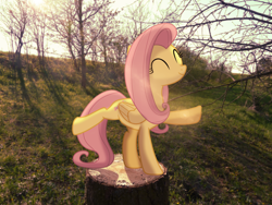 Size: 4000x3000 | Tagged: safe, artist:colorfulbrony, fluttershy, pegasus, pony, g4, 4everfreebrony, ^^, cute, eyes closed, female, high res, irl, mare, photo, ponies in real life, shyabetes, smiling, solo, standing on two hooves, tree stump