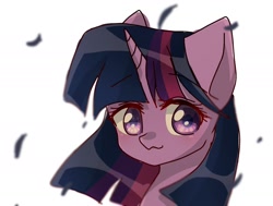 Size: 2006x1515 | Tagged: safe, artist:namaenonaipony, twilight sparkle, ambiguous race, pony, g4, bust, female, horn, looking at you, mare, portrait, simple background, solo, white background