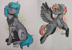 Size: 2480x1729 | Tagged: safe, artist:monnarcha, oc, oc only, earth pony, pegasus, pony, traditional art