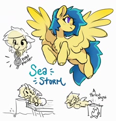 Size: 3133x3281 | Tagged: safe, artist:opalacorn, oc, oc only, oc:sea storm, pegasus, pony, cooking, fire, fishing, fishing rod, high res, knot, pier, rope, simple background, solo, that's a penis