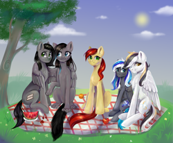 Size: 3176x2612 | Tagged: safe, artist:ske, oc, oc only, oc:flaming dune, oc:storm cloud river's, earth pony, pegasus, pony, apple, cloud, commission, folded wings, food, high res, hug, looking at someone, looking at you, multicolored mane, multicolored tail, picnic blanket, sitting, sun, tail, tree, watermelon, wings, ych result