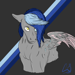 Size: 1280x1280 | Tagged: safe, artist:lennystendhal13, oc, oc:sparrow tailspin, pegasus, pony, male, solo, stallion