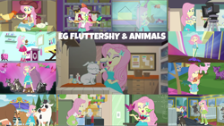 Size: 1966x1106 | Tagged: safe, edit, edited screencap, editor:quoterific, screencap, fluttershy, rainbow dash, winona, bird, chicken, cow, dog, goat, human, owl, a little birdie told me, eqg summertime shorts, equestria girls, equestria girls series, five to nine, g4, get the show on the road, hamstocalypse now, i'm on a yacht, outtakes (episode), pet project, road trippin, so much more to me, spring breakdown, stressed in show, stressed in show: fluttershy, tip toppings, tip toppings: fluttershy, spoiler:choose your own ending (season 2), spoiler:eqg series (season 2), boots, camp everfree outfits, clothes, cutie mark on clothes, eyes closed, female, geode of fauna, hairpin, jewelry, magical geodes, necklace, open mouth, open smile, shoes, smiling, socks, tank top, text, video camera