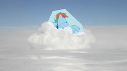 Size: 1600x900 | Tagged: safe, rainbow dash, pony, g4, cloud, irl, on a cloud, photo, photomanipulation, ponies in real life, resting, solo, wallpaper