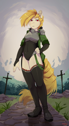 Size: 1777x3241 | Tagged: source needed, safe, artist:hakkids2, oc, oc:palisade, earth pony, anthro, armor, boots, chestplate, female, garter belt, shoes, solo, thigh boots