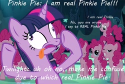 Size: 1800x1200 | Tagged: safe, edit, edited screencap, screencap, pinkie pie, twilight sparkle, earth pony, pony, unicorn, a canterlot wedding, g4, season 3, too many pinkie pies, clone, confused, derp, dialogue, engrish, female, horn, mare, mirror pool, multeity, pinpoint eyes, shocked, silly, silly pony, smiling, text, tongue out, too much pink energy is dangerous, unicorn twilight