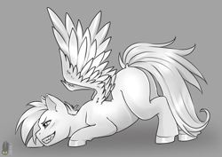Size: 2039x1446 | Tagged: safe, artist:natt333, rainbow dash, pegasus, pony, g4, black and white, face down ass up, fangs, female, grayscale, mare, missing cutie mark, monochrome, sharp teeth, solo, spread wings, teeth, wings