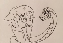 Size: 2446x1694 | Tagged: safe, artist:lunahazacookie, oc, oc only, oc:nightwish, pegasus, pony, snake, bedroom eyes, clothes, duo, hypno eyes, hypnosis, kaa eyes, lineart, male, pegasus oc, sketch, stallion, traditional art