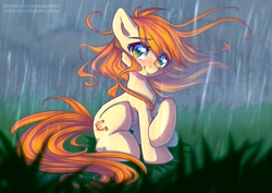 Size: 807x571 | Tagged: safe, artist:chaosangeldesu, oc, oc only, oc:polya, earth pony, pony, female, mare, overcast, rain, sitting, solo, windswept mane