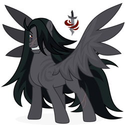 Size: 1024x1024 | Tagged: safe, artist:kabuvee, oc, oc only, pegasus, pony, male, simple background, solo, stallion, transparent background