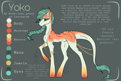 Size: 3000x2000 | Tagged: safe, artist:thelazyponyy, oc, oc only, earth pony, pony, earth pony oc, high res, raised hoof, reference sheet, solo