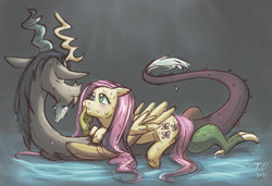 Size: 808x552 | Tagged: safe, artist:tashidelashi, discord, fluttershy, draconequus, pegasus, pony, fanfic:waterbodies, g4, 2022, duo, fanfic, fanfic art, fanfic cover, female, male, romantic, ship:discoshy, shipping, signature, story included, straight, water, wet