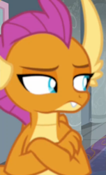 Size: 529x868 | Tagged: safe, screencap, smolder, dragon, g4, school daze, cropped, crossed arms, dragoness, female, smolder is not amused, solo, unamused