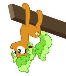 Size: 832x961 | Tagged: safe, artist:iks83, apple brown betty, earth pony, pony, apple family reunion, g4, season 3, apple family member, simple background, solo, transparent background, upside down, vector