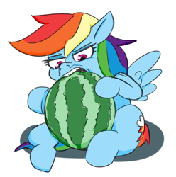 Size: 473x476 | Tagged: safe, artist:jargon scott, rainbow dash, pegasus, pony, g4, biting, faic, female, food, herbivore, mare, silly, silly pony, simple background, sitting, solo, watermelon, white background