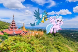 Size: 1000x667 | Tagged: safe, artist:frownfactory, edit, gallus, silverstream, classical hippogriff, griffon, hippogriff, g4, female, irl, male, mandalay, myanmar, photo, ponies in real life