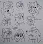 Size: 2608x2692 | Tagged: safe, artist:spoopygirl, sunny starscout, earth pony, pony, g5, :p, bed mane, bloodshot eyes, bust, crying, expressions, eye bulging, high res, insanity, lineart, monochrome, pencil drawing, sunny starscout is not amused, tongue out, traditional art, unamused