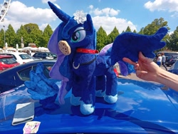 Size: 4000x3000 | Tagged: safe, artist:melodisde, photographer:sassysvczka, lily, lily valley, princess luna, alicorn, human, galacon, g4, car, collar, cookie, ferris wheel, flower, flower in hair, food, gala parking, galacon 2022, hand, irl, irl human, jewelry, necklace, parking lot, phone sock, photo, plushie, regalia, seat ibiza (car), spread wings, sticker, wings