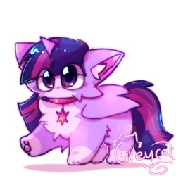 Size: 1080x1080 | Tagged: safe, artist:grey___cat, twilight sparkle, alicorn, cat, pony, g4, catified, ear fluff, eye clipping through hair, female, folded wings, horn, raised paw, simple background, species swap, twilight cat, twilight sparkle (alicorn), white background, wings