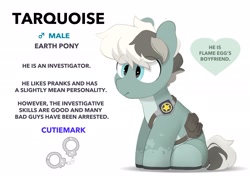 Size: 2064x1457 | Tagged: safe, artist:mochi_nation, oc, oc only, oc:turquoise (mochi_nation), earth pony, pony, badge, eye clipping through hair, male, misspelling, police officer, simple background, sitting, solo, stallion, text, white background