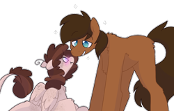 Size: 1100x700 | Tagged: safe, artist:puppie, oc, oc only, oc:background, oc:raevyn, earth pony, pegasus, pony, blushing, chest fluff, cute, leonine tail, lidded eyes, scrunchy face, simple background, sparkles, tail, transparent background