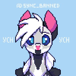 Size: 1000x1000 | Tagged: safe, artist:syncbanned, oc, oc only, pegasus, pony, advertisement, animated, commission, gif, profile picture, simple background, solo, ych animation, ych example, your character here
