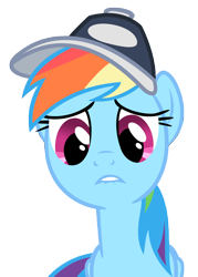 Size: 5714x8000 | Tagged: safe, artist:that guy in the corner, rainbow dash, pegasus, pony, g4, cap, female, hat, mare, simple background, solo, transparent background, vector