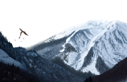 Size: 2000x1300 | Tagged: safe, artist:raminy, griffon, day, flying, forest, hill, mountain, mountain range, scenery, snow