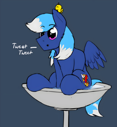 Size: 2500x2707 | Tagged: safe, artist:noxy, oc, oc only, oc:noxy, bird, pegasus, pony, behaving like a bird, bird bath, chirping, cute, high res, male, pegasus oc, solo, spread wings, tail, two toned hair, two toned mane, two toned tail, wings
