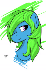 Size: 1422x2177 | Tagged: safe, artist:paintedskies, oc, oc only, oc:sweetcakes, earth pony, pony, bust, colored, portrait