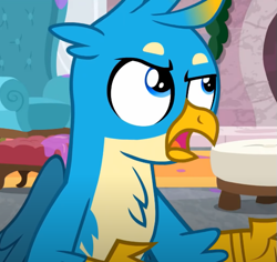 Size: 559x527 | Tagged: safe, screencap, gallus, griffon, g4, season 8, the hearth's warming club, cropped, male, solo