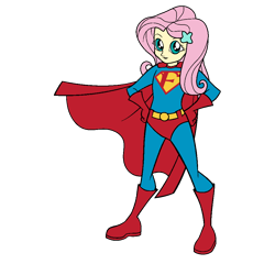 Size: 1000x1000 | Tagged: safe, artist:thatradhedgehog, fluttershy, human, equestria girls, g4, dc comics, male, simple background, solo, superman, transparent background