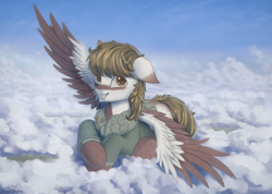 Size: 1520x1080 | Tagged: safe, artist:adagiostring, oc, oc only, oc:ashes/weathered parchment, pegasus, pony, fallout equestria, adorable face, clothes, cloud, colored wings, cute, enclave, jacket, looking at you, male, on a cloud, one ear down, sitting, sitting on a cloud, sky, smiling, smiling at you, solo, spread wings, stallion, two toned wings, uniform, wings, wonderbolts, wonderbolts uniform
