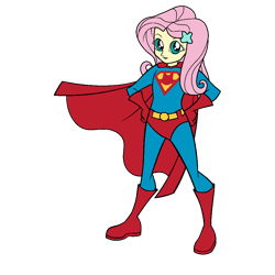 Size: 1000x1000 | Tagged: safe, artist:thatradhedgehog, fluttershy, human, equestria girls, g4, dc comics, male, simple background, solo, superman, transparent background