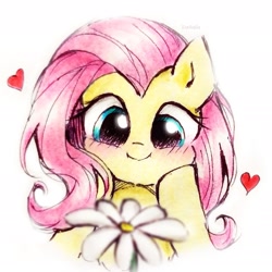 Size: 1939x1939 | Tagged: safe, artist:liaaqila, fluttershy, pegasus, pony, g4, blushing, bust, c:, cute, female, flower, heart, hooves on cheeks, looking at something, mare, shyabetes, signature, simple background, smiling, solo, traditional art, weapons-grade cute, white background