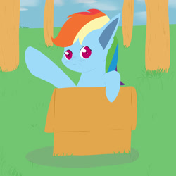 Size: 3000x3000 | Tagged: safe, artist:reinbou, rainbow dash, cat, cat pony, original species, pegasus, pony, g4, box, catified, forest, high res, pony in a box, rainbow cat, sky, solo, species swap, tree