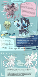 Size: 2000x4000 | Tagged: safe, artist:aquagalaxy, moth, mothpony, original species, pony, high res, reference sheet
