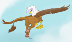 Size: 1280x751 | Tagged: safe, artist:crimes, gilda, griffon, g4, butt, colored, cute, feet, female, flying, foot focus, gildadorable, gildonk, looking at you, looking back, paw pads, paws, plot, simple background, solo, spread wings, tail, talons, wings