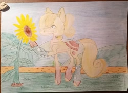 Size: 995x720 | Tagged: safe, artist:melody_visher, oc, oc only, flower, solo, sunflower, traditional art