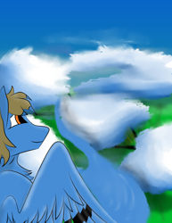 Size: 2550x3300 | Tagged: safe, artist:mr_nate89, oc, oc:nate, pegasus, pony, brown hair, cloud, flying, high res