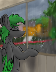 Size: 2550x3300 | Tagged: safe, artist:mr_nate89, oc, oc only, oc:green lightning, pegasus, pony, high res, indoors, rain, solo, window
