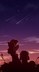 Size: 1640x3040 | Tagged: safe, artist:rainbowfire, edit, comet tail, twilight sparkle, earth pony, pegasus, pony, g4, cloud, comet, cute, female, floppy ears, galaxy, grass, love, male, mare, night, onomatopoeia, romance, ship:cometlight, shipping, smiling, softness, sound effects, stallion, stars, straight, sunset, wallpaper, wallpaper edit, zzz