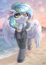 Size: 1750x2465 | Tagged: safe, artist:hakaina, oc, oc:siriusnavigator, pegasus, pony, clothes, looking at something, ocean, solo, spread wings, walking, water, wings