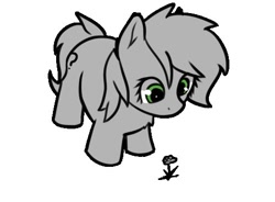 Size: 499x367 | Tagged: safe, artist:neuro, oc, oc only, oc:filly anon, earth pony, pony, female, filly, flower, simple background, solo, white background