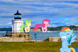 Size: 2048x1362 | Tagged: safe, artist:luckreza8, artist:mlplover94, chickadee, ms. peachbottom, pinkie pie, rainbow dash, earth pony, pegasus, pony, g4, facehoof, female, irl, jumping, lighthouse, maine, mare, photo, ponies in real life, south portland, story included