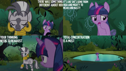 Size: 1280x720 | Tagged: safe, edit, edited screencap, editor:quoterific, screencap, twilight sparkle, zecora, pony, unicorn, zebra, g4, magic duel, season 3, duo, duo female, eyes closed, female, mare, open mouth, text, unicorn twilight, wet, wet mane