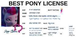 Size: 964x467 | Tagged: safe, edit, edited screencap, editor:secretbronyx, part of a set, screencap, zipp storm, pegasus, pony, g5, my little pony: a new generation, spoiler:my little pony: a new generation, 420, best pony, best pony license, cropped, faic, female, folded wings, horseshoes, id card, implied hitch trailblazer, implied pipp petals, implied sex, implied shipping, implied stormblazer, implied straight, license, lidded eyes, mare, meme, pipp is short, raised eyebrow, smug, solo, wings, yogi bear